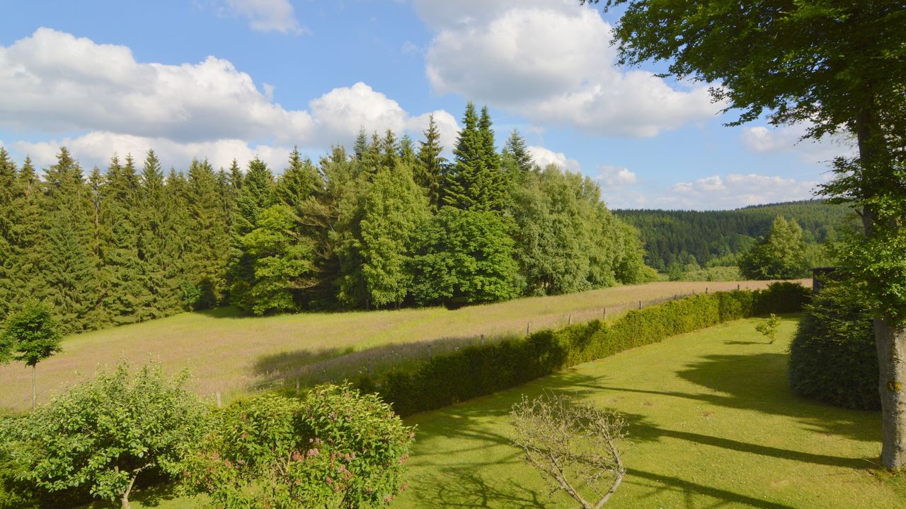 ViewSummer ViewSummer